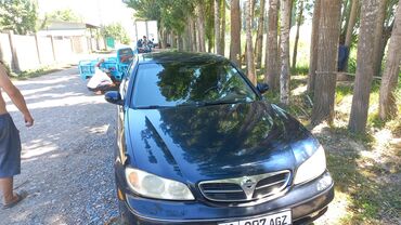 краска авто: Nissan Maxima: 2000 г., 3 л, Автомат, Бензин