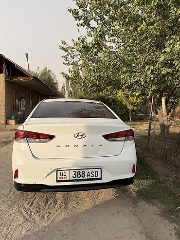 на хундай соната: Hyundai Sonata: 2018 г., 2 л, Автомат, Бензин, Седан — 2