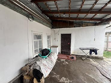 Продажа участков: 5 соток, Красная книга — 10