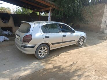 поло машина: Nissan Almera: 2000 г., 1.5 л, Механика, Бензин, Хэтчбэк