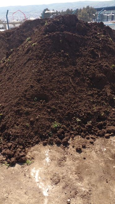 Ağaclar: Hər vaxtınız xeyir olsun dəyərli müştərilərimiz. Bizə vaxt ayırdığınız — 14