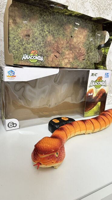 Школьная форма: Школьная форма — 30