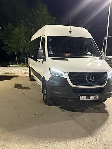 Mercedes‑Benz Sprinter VIP – переоборудованный микроавтобус