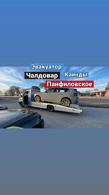 красска ворот: С лебедкой, С манипулятором, Со сдвижной платформой — 1