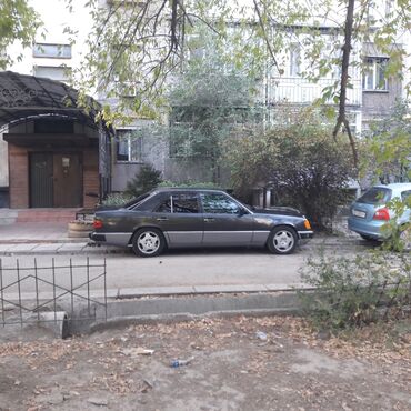 Mercedes-Benz: Mercedes-Benz W124: 1991 г., 2.6 л, Механика, Бензин, Седан — 20