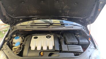 Volkswagen: Volkswagen Golf Plus: 1.9 l | 2008 г. Hečbek — 15