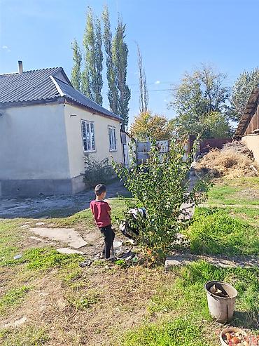 продажа домов с бизнесом: Дом с двором и хозяйственными постройками - Одноэтажный жилой дом с — 2