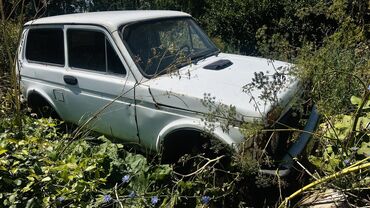 как купить трактор в лизинг: Белый внедорожник ВАЗ-2121 «Нива» с тремя дверями. Автомобиль