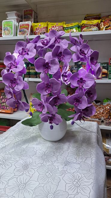 Утепленные жилеты: Орхидея 
Орхидея светильник 
Цветы Бишкек
Светильник 
Ручнаяработа — 10