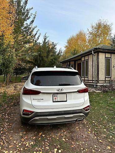 Hyundai: Hyundai Santa Fe: 2018 г., 2.4 л, Автомат, Бензин, Кроссовер — 6