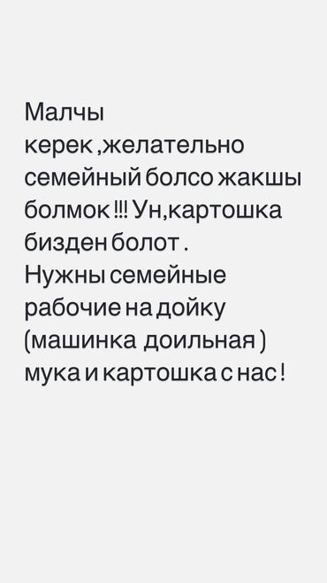 лучший ветеринар бишкек: Требуется Пастух, Оплата Каждые 10 дней