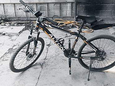 перевозка рыбы: Горный велосипед ALTON ATX 560 - Рама: алюминиевая, геометрия — 2