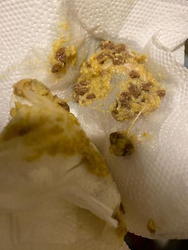 Pişiklər: Şotland, Erkək, Dişi, Yaxşı əllərə, Ünvandan götürmə, Pulsuz çatdırılma, Ödənişli çatdırılma — 19