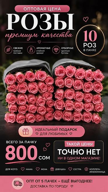 Розы премиум-качества — оптовая цена - Упаковка: 10 роз в пачке - at lalafo.kg Розы премиум-качества — оптовая цена - Упаковка: 10 роз в пачке -