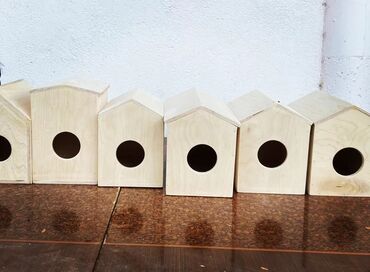 Yuvalar: Quş yuvaları — 6