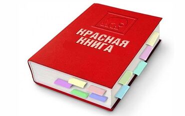 продаю участок беловодское: 8 соток, Для строительства, Красная книга, Тех паспорт