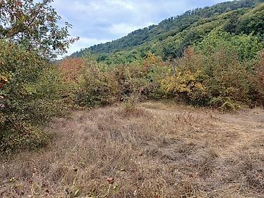 Torpaq sahələrinin satışı: 170 sot, Biznes üçün, Mülkiyyətçi, Kupça (Çıxarış) — 11