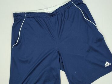 kurtka zimowa gore tex: Adidas, Shorts for men, XL (EU 42), condition - Good