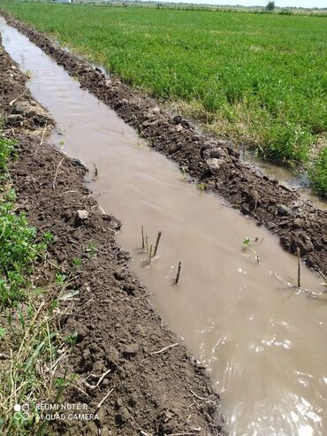 продажа земли сельскохозяйственного назначения: 60000 соток, Айыл чарба үчүн, Техпаспорт