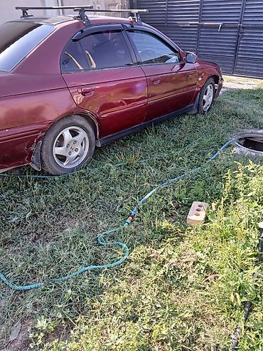 рейка акорд: Honda Accord: 2001 г., 2 л, Автомат, Газ, Седан — 1
