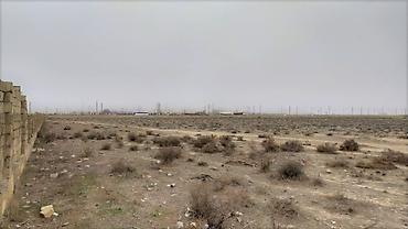 10 sot: 95 sot, Kənd təsərrüfatı, Makler, Kupça (Çıxarış) — 2
