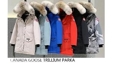 Zimske jakne: VRHUNSKI C.GOOSE I PJS MODELI, ULTRA HIT 2025-26 | Novo! ! ! — 2