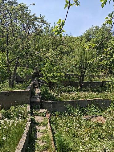 Продажа дач: Очень срочно!!! Продаю или меняю !!! на квартиру !!! Дача с подвалом — 11