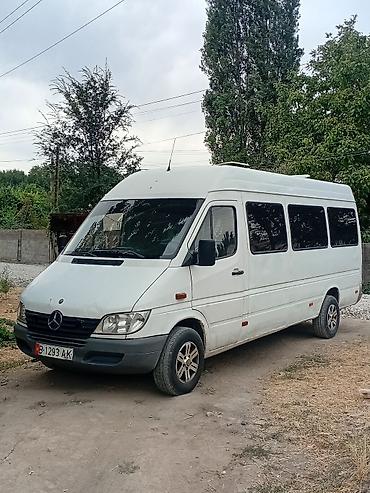 спринтер двер: Mercedes-Benz Спринтер: 2002 г., Дизель, Бус — 2