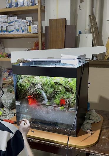Akvarium aksesuar və ləvazimatları: Terrarium/Vivarium dekorativ sistem – duman generatoru və LED — 3