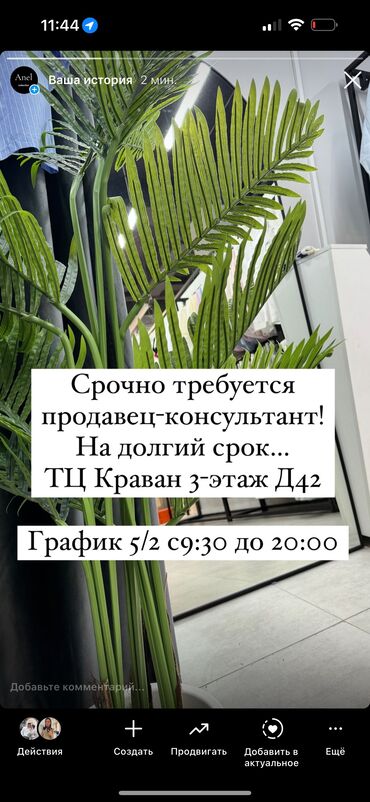 срочная работа: Сатуучу консультант. Караван СБ