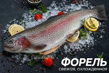 Балыктар: Продается форель живая и не живая. только оптом. Торг — 3