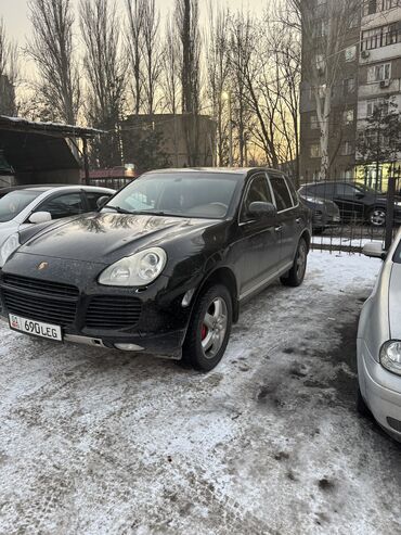 Porsche: Porsche Cayenne Turbo: 2006 г., 4.5 л, Автомат, Газ, Внедорожник