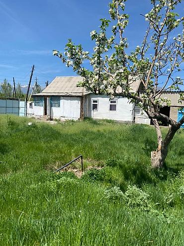 Продажа коттеджей и домов: 🏡 ҮЙ САТЫЛАТ | Түп жергеси Түп жергесинде 16 сотых жер тилкеси менен at lalafo.kg — 3 Продажа коттеджей и домов: 🏡 ҮЙ САТЫЛАТ | Түп жергеси Түп жергесинде 16 сотых жер тилкеси менен — 3