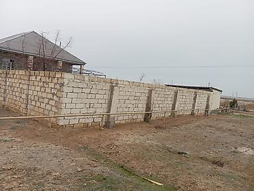 tap az agdas: 4 sot, Mülkiyyətçi, Kupça (Çıxarış) — 1