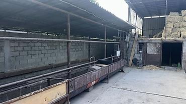 складной дом: Продаётся участок с домом в с. Новопокровка 📍 По центральной трассе 📐 — 3
