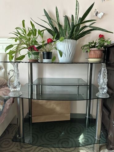 универсальная подставка для телевизора: Тумба и подставка для телевизора, Напольная, Стекло, цвет - Серый