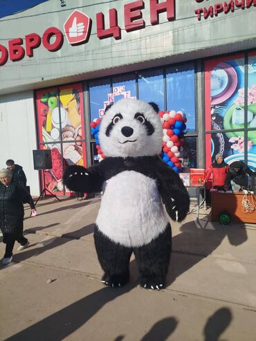 Организация мероприятий: Организация мероприятий | Оформление мероприятий — 14