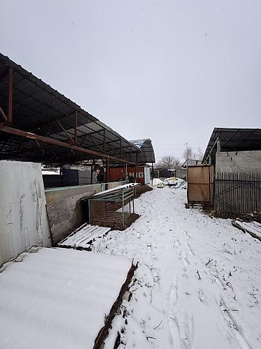 Продажа коттеджей и домов: Село Каирма продается участок 10 соток с домом контейнер 20 тонник — 19