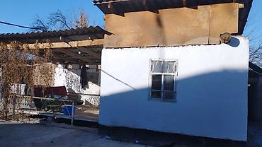 дом из дерево: 4 комнаты, 80 м², 30 соток, Дмитриевка, Собственник — 2