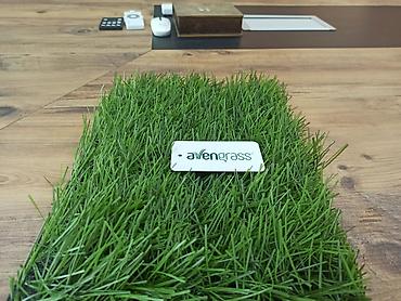 Другое для спорта и отдыха: Искусственный газон 60 мм Турция, искусственный газон для футбола — 8