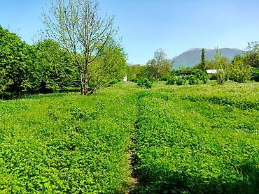 Torpaq sahələrinin satışı: 4 sot, Tikinti — 2