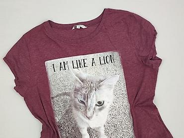 kot: CKH Clockhouse, T-shirt damski, rozmiar XL — 1