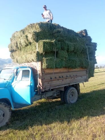 шины бишкек дордой цены: Жүк ташуучу унаа, GAZ