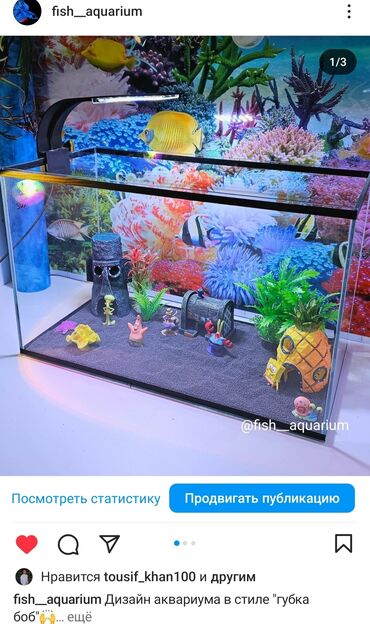 Рыбы: Аквариум с дизайном в стиле "Губка Боб" Аквариум- ваш собственный