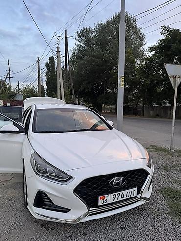 спойлер sonata: Hyundai Sonata: 2017 г., 2 л, Автомат, Бензин, Седан — 1