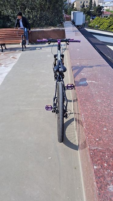 cd disk: Velosiped: Meiredi dağ velosipedi Xüsusiyyətlər: - Çərçivə — 4