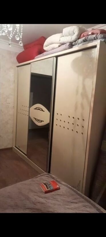 Bitkilər: Dolab satılır 150₼. Yaxşı vəziyyətdədir. Problemi yoxdur. Ünvan Yeni