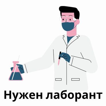 химия для химчистки: В международную школу нужен лаборант ОБЯЗАННОСТИ 1. Подготовка и