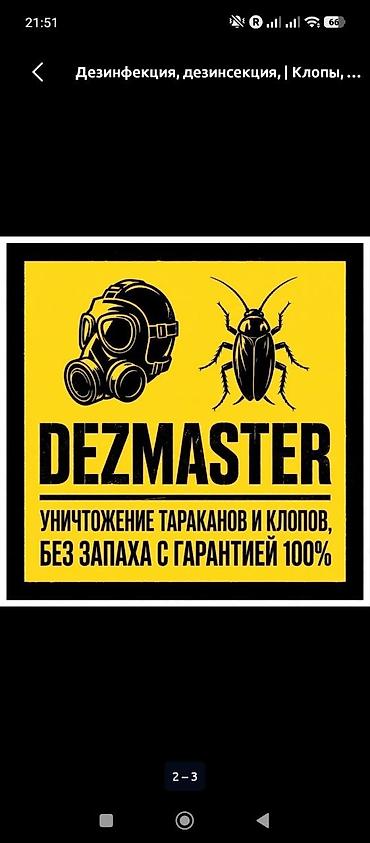 Дезинсекция DEZMASTER Профессиональное уничтожение тараканов и