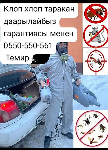 Клининг кызматтары: Дезинфекциялоо, дезинсекциялоо, | Кумурскалар, Чычкандар жана келемиштер, Канталалар, | Жертөлө, ороо, Офистер, Унаа — 1